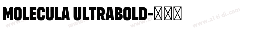 Molecula UltraBold字体转换